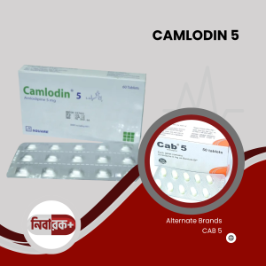 A box of Camlodin 5mg tablets by Square Pharmaceuticals, prominently displaying the brand and dosage information.